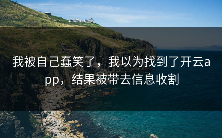 我被自己蠢笑了，我以为找到了开云app，结果被带去信息收割