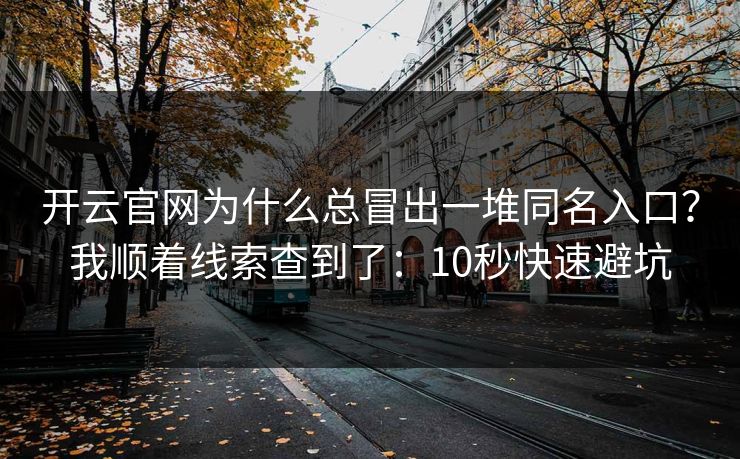 开云官网为什么总冒出一堆同名入口？我顺着线索查到了：10秒快速避坑