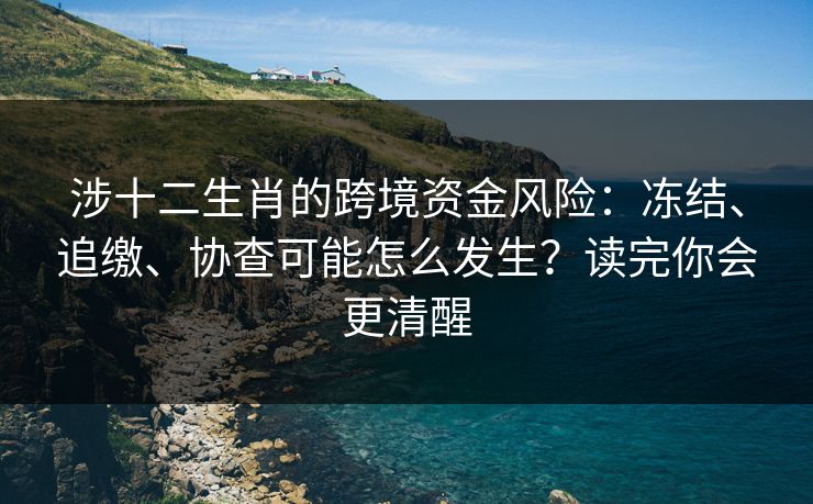涉十二生肖的跨境资金风险:冻结、追缴、协查可能怎么发生?读完你会更清醒 涉十二生肖的跨境资金风险:冻结、追缴、协查可能怎么发生?读完你会更清醒